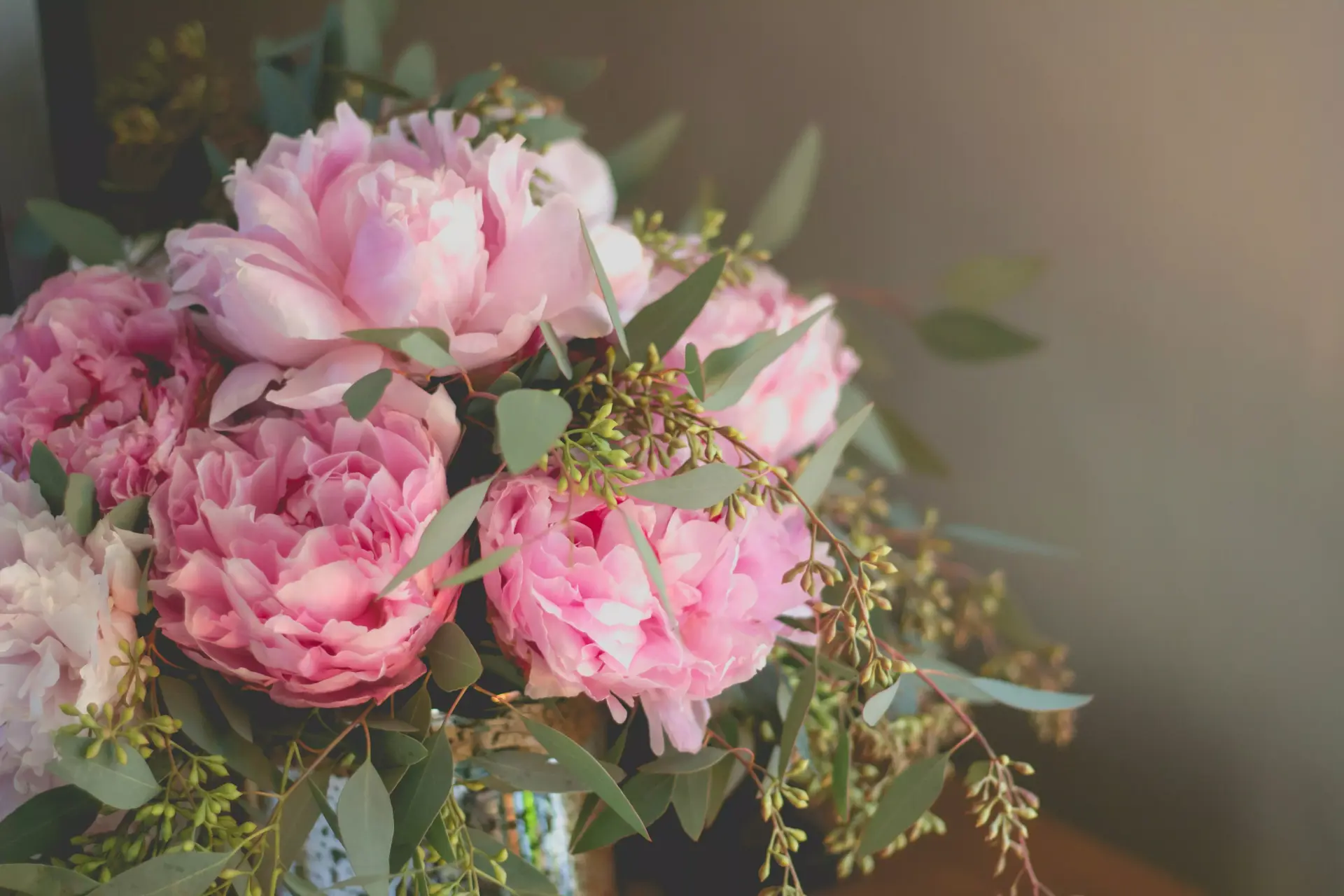 When Are Peonies in Season in Singapore?