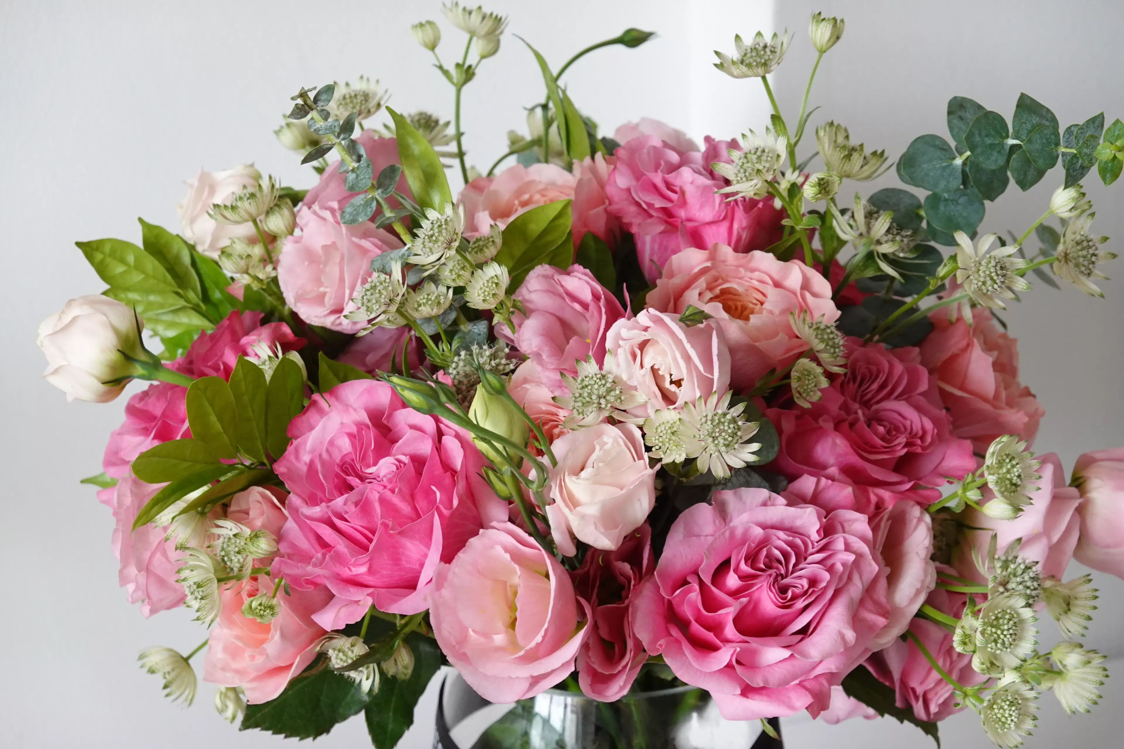 Rose Eternelle