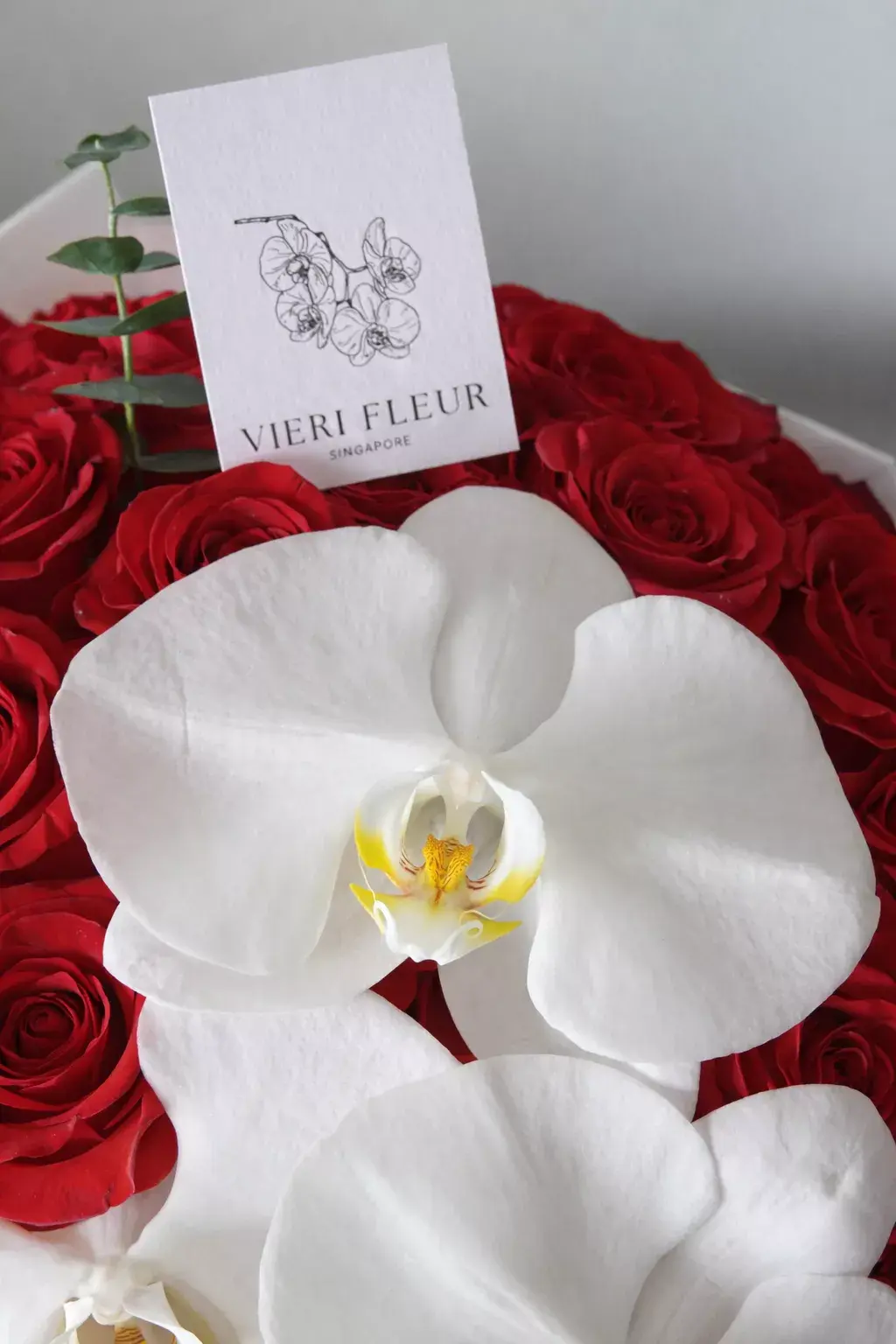 Valentines' Roses & Orchids