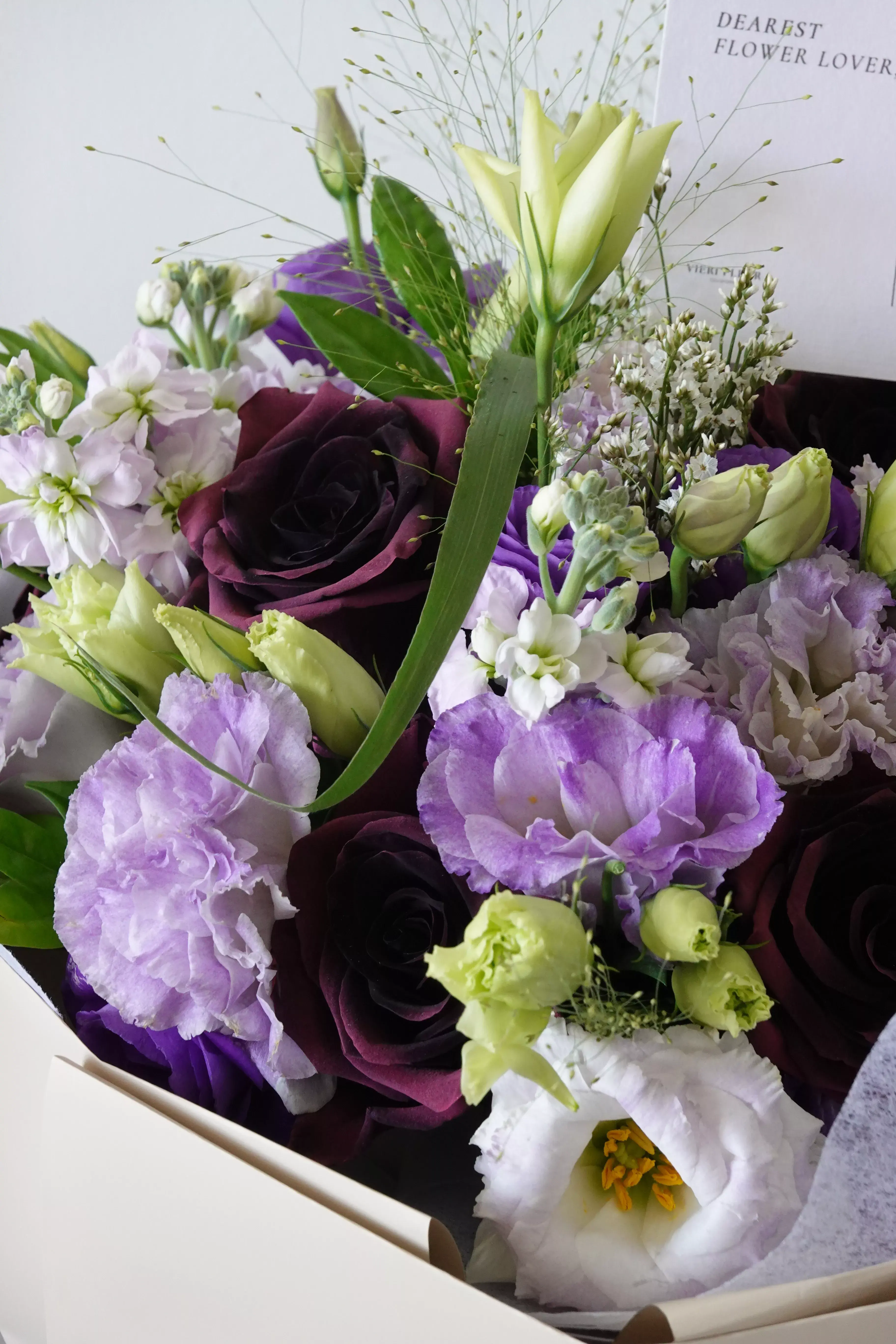 Violet Etoile