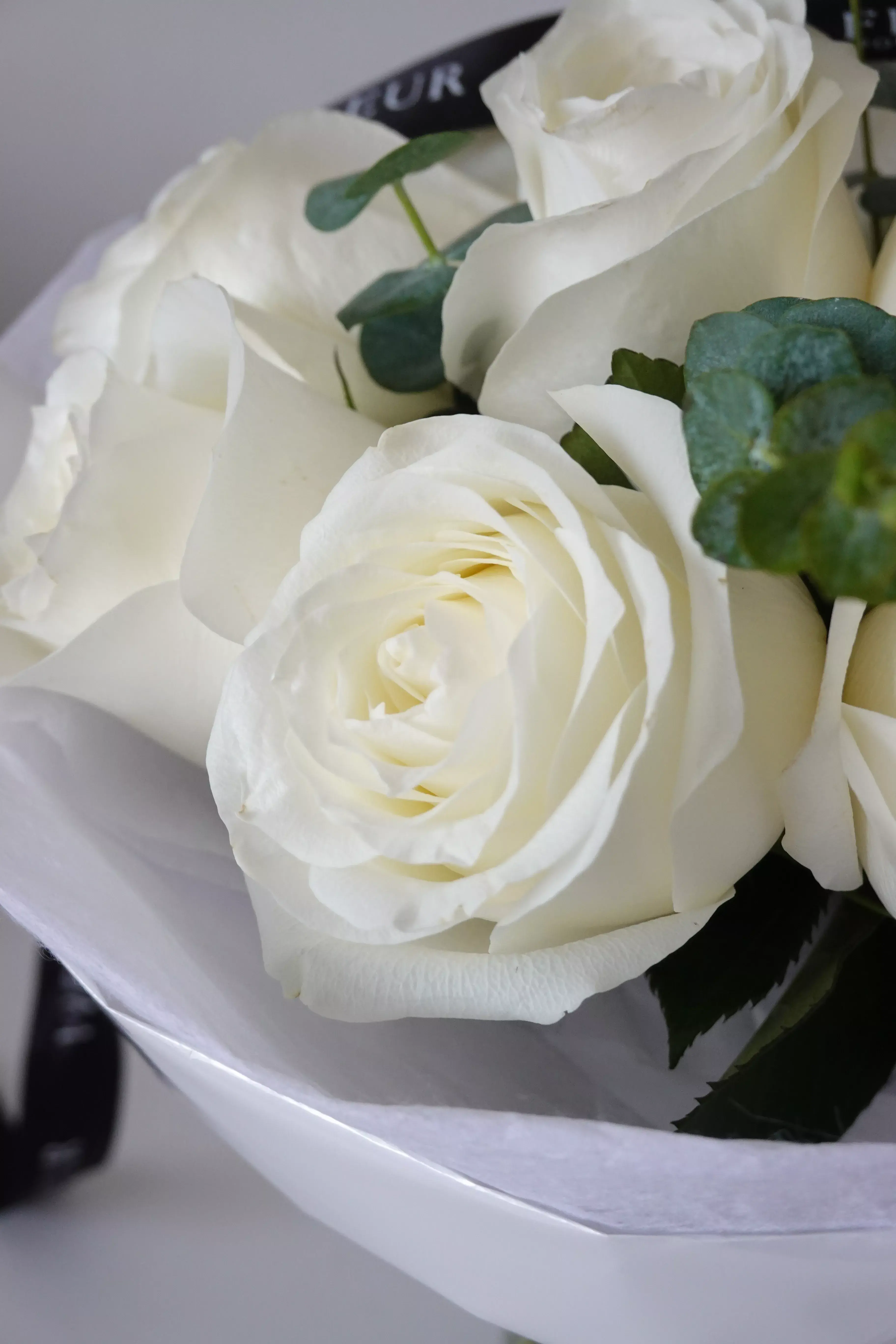 Romance White